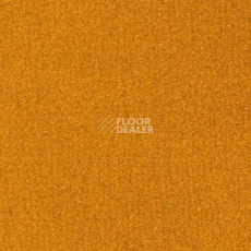 Ковролин Radici Oceania Ambra 2408 фото 1 | FLOORDEALER